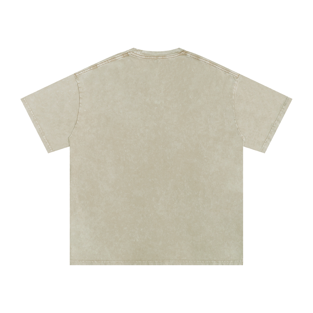 Snow Washed Oversized Cotton T-Shirt- Good days Ahead