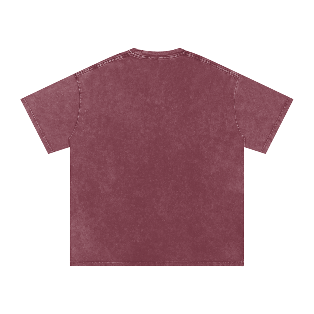 Snow Washed Oversized Cotton T-Shirt- Good days Ahead
